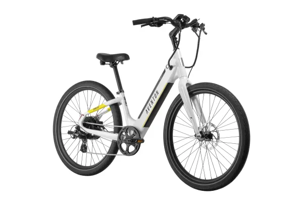 Rental E-Bike